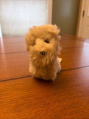 American Girl Dog Coconut